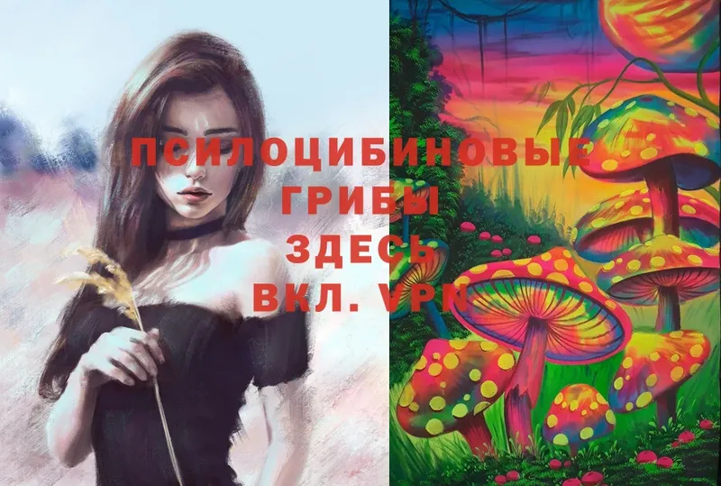 Галлюциногенные грибы Psilocybe  дарк нет наркотические препараты  Бобров 